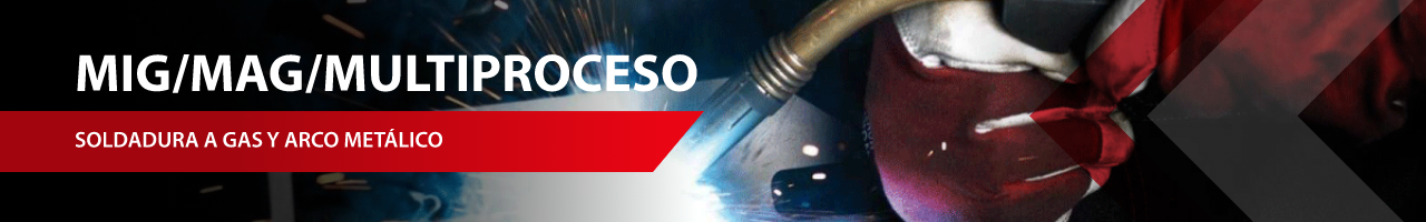 Banner categoria MULTIPROCESO