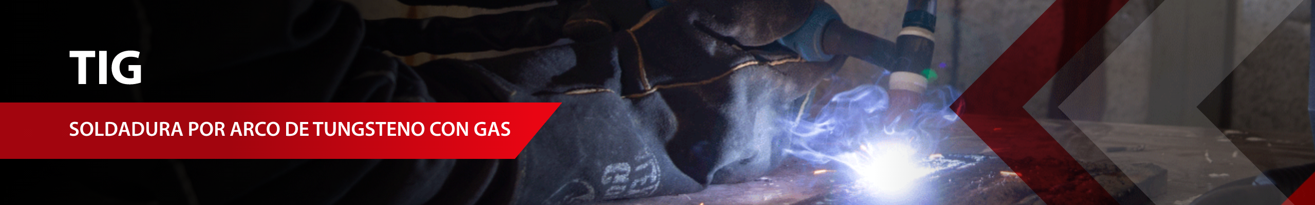 Banner categoria TIG